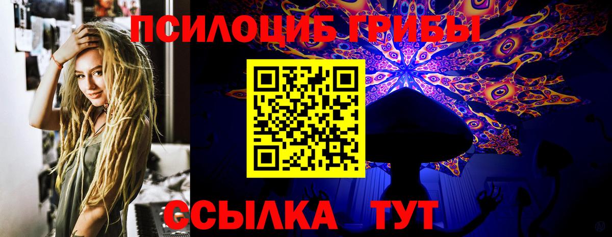 Псилоцибиновые грибы GOLDEN TEACHER Нововоронеж